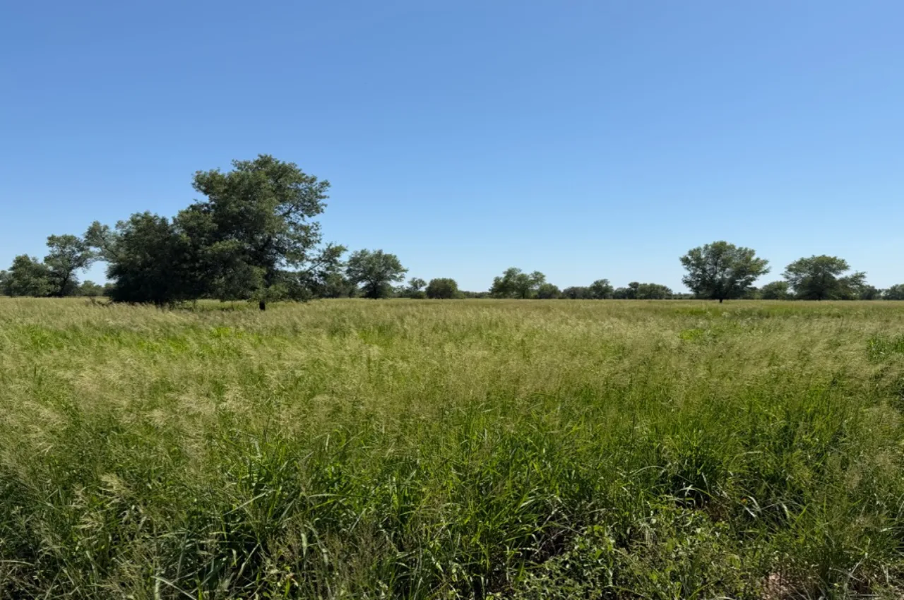 Estancia Boquerón