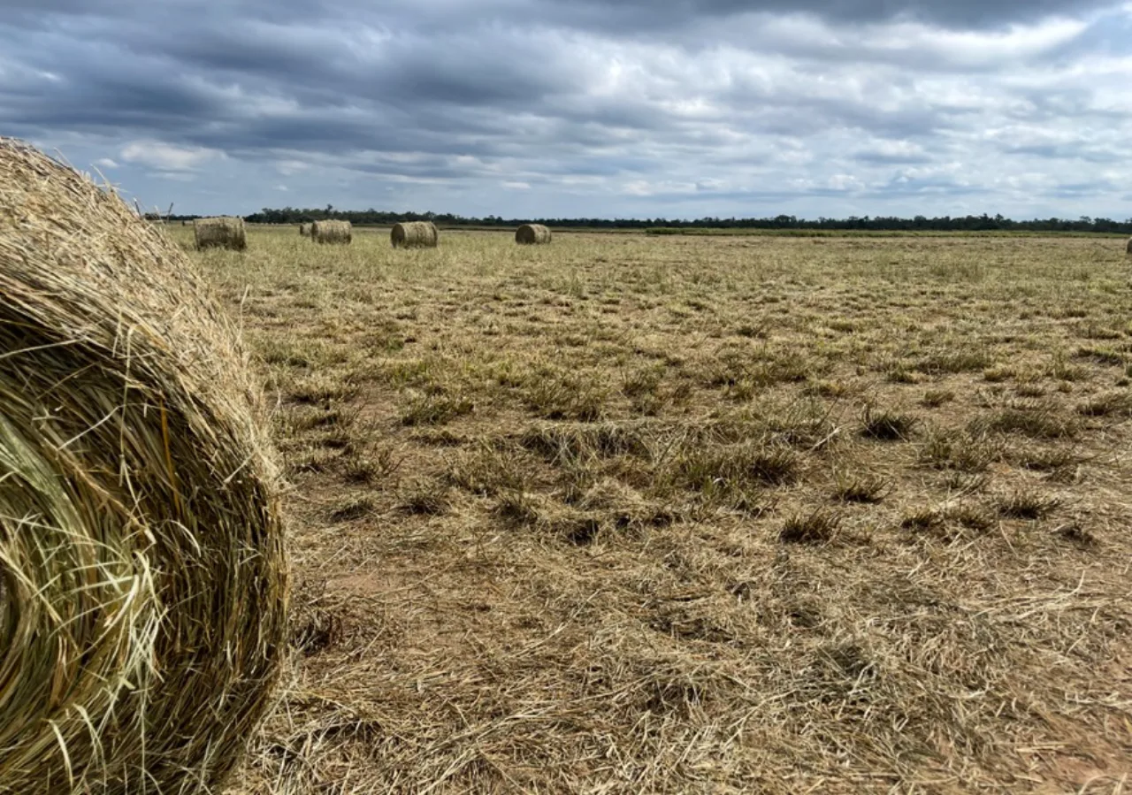 Estancia Boquerón — foto 4