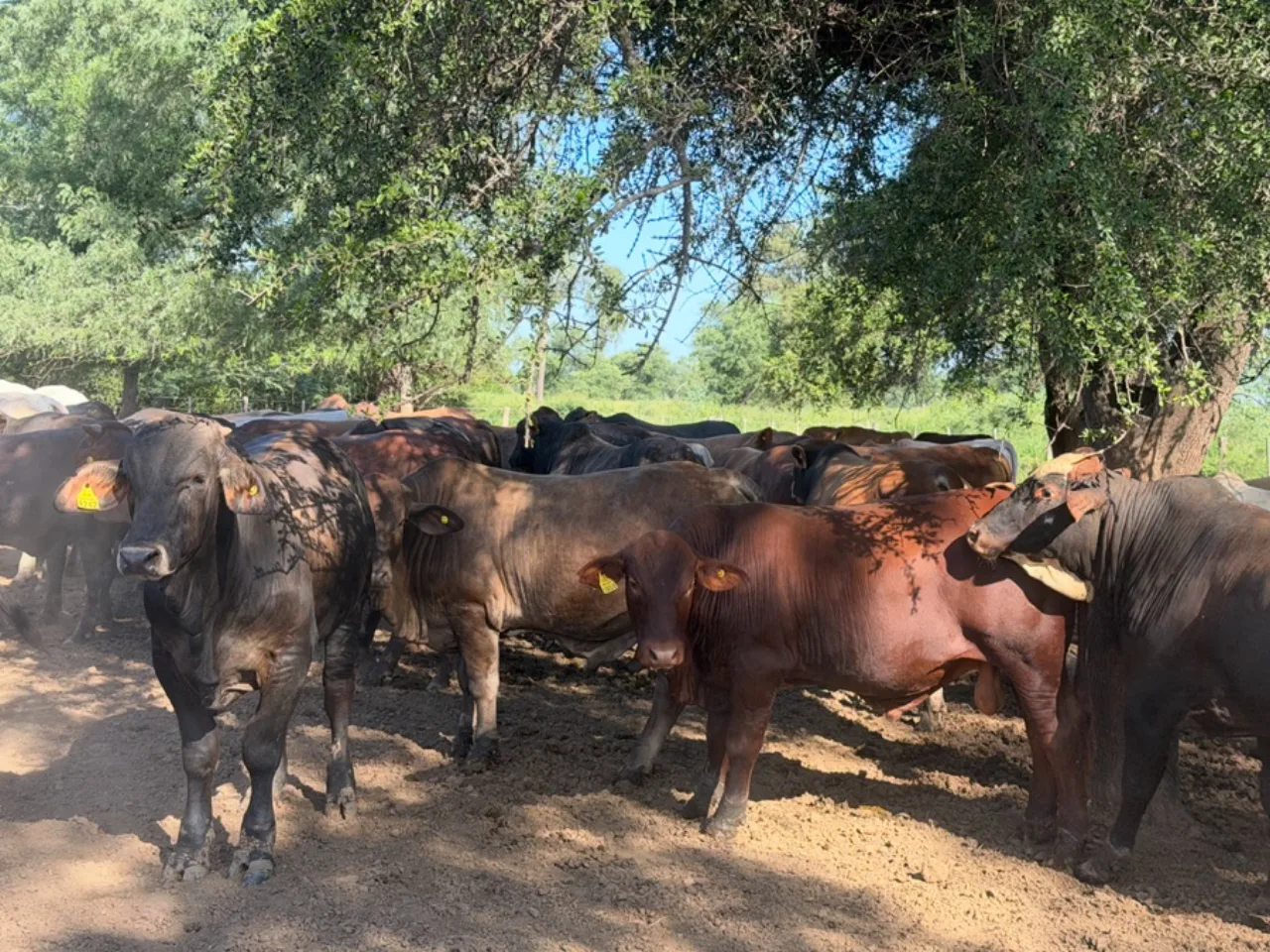 Estancia Boquerón — foto 6