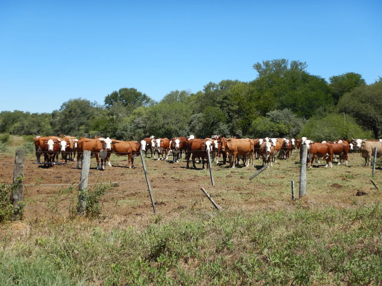 El Refugio — foto 27
