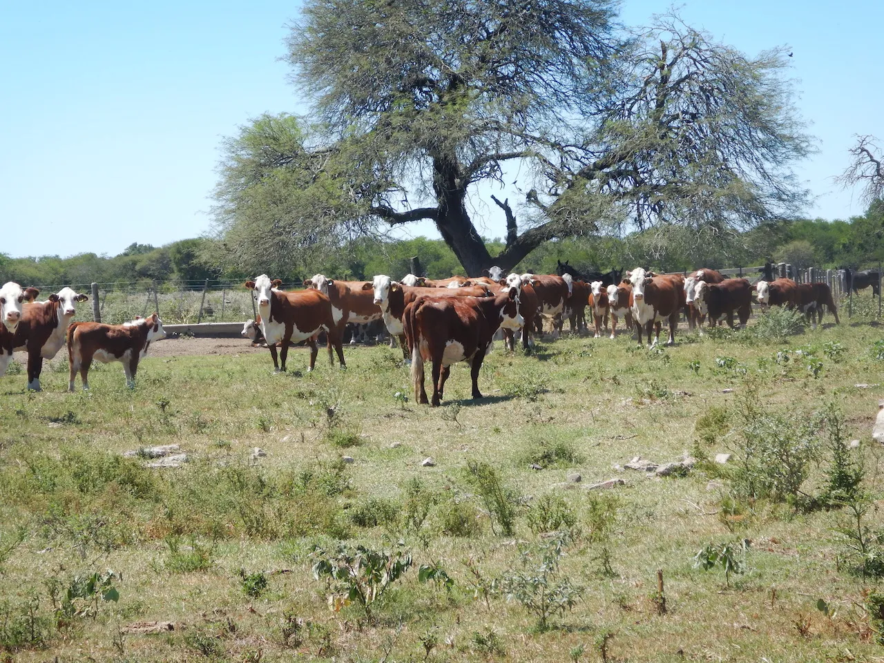 El Refugio — foto 29