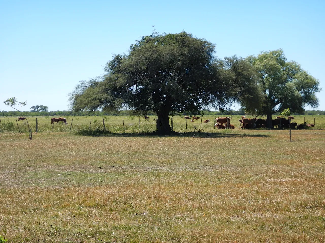 El Refugio — foto 30
