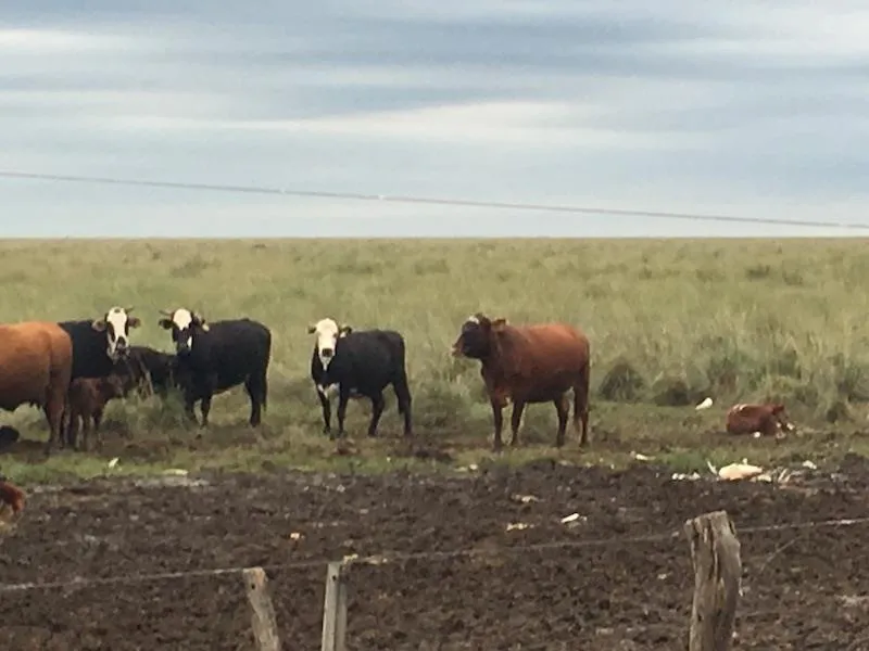Fortín Guazuncho — foto 15