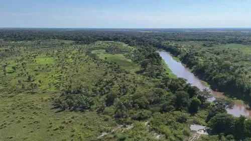 La Clorinda — foto 2