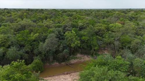 La Criolla — foto 2