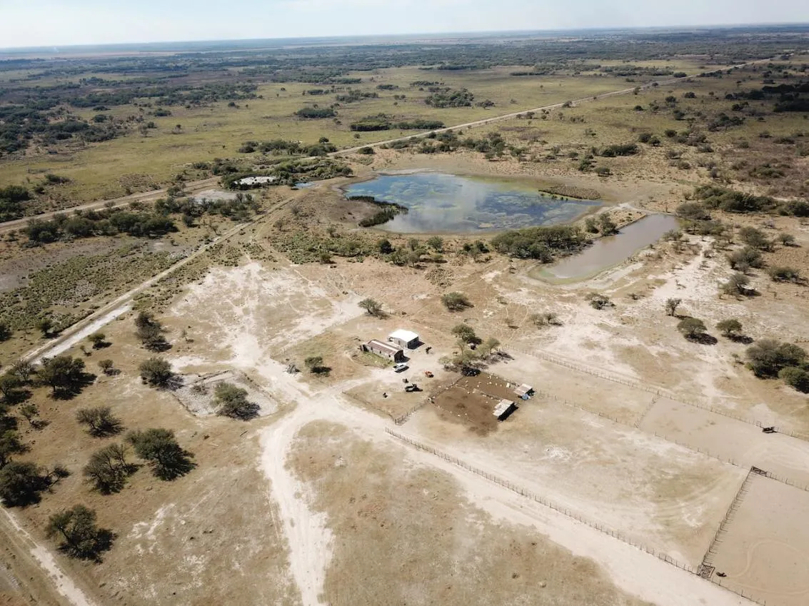 La Margarita — foto 10