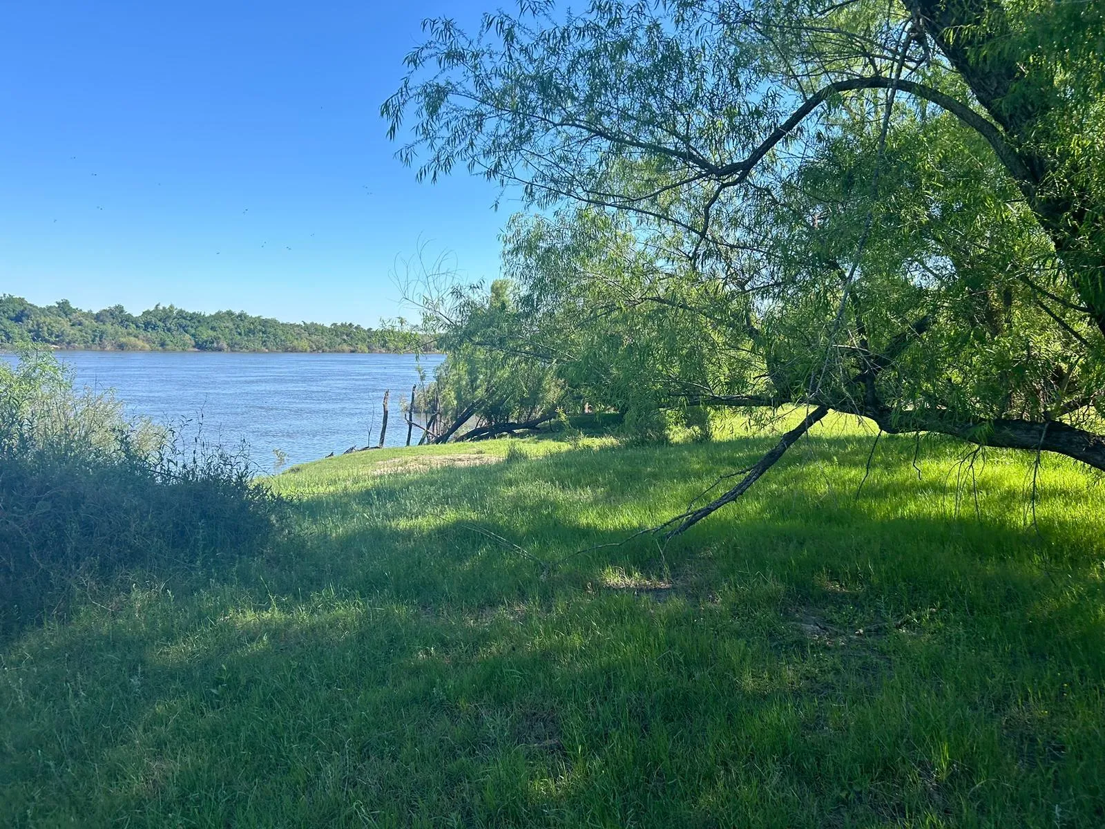 Magallanes — foto 15