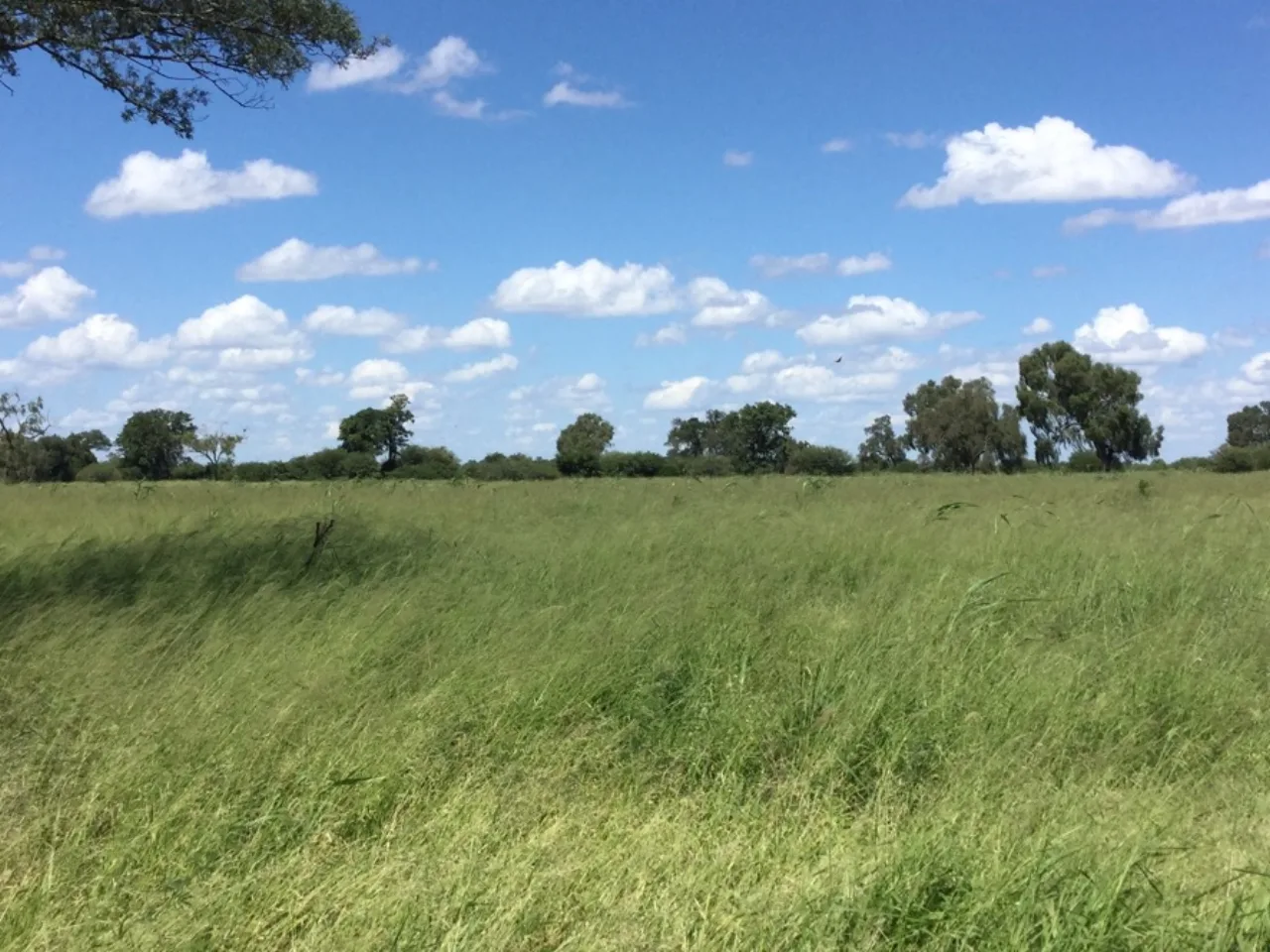 Estancia Neuland — foto 3
