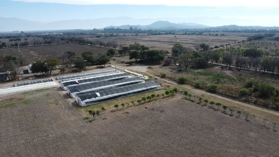 Finca San Agustín — foto 2