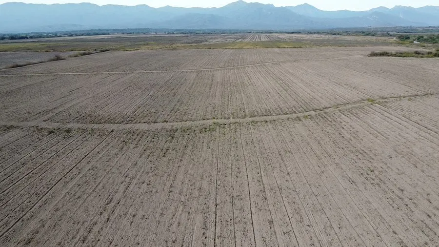 Finca San Agustín — foto 3