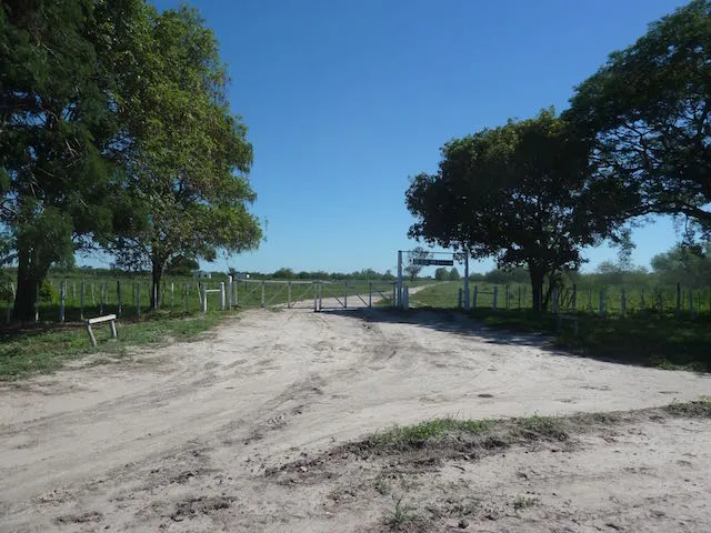 San José y El Guayacán — foto 1
