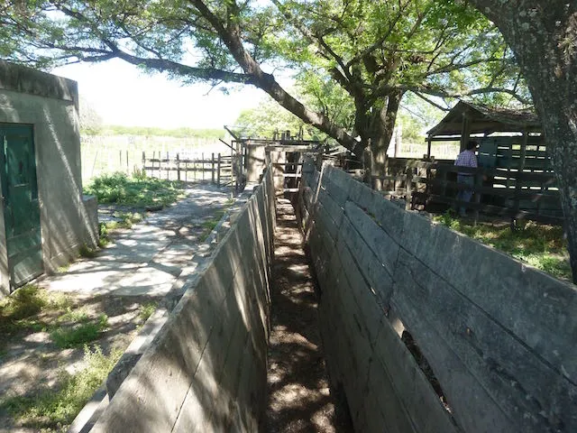 San José y El Guayacán — foto 13