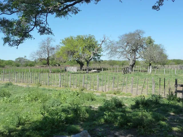 San José y El Guayacán — foto 14