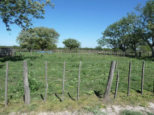 San José y El Guayacán — foto 20