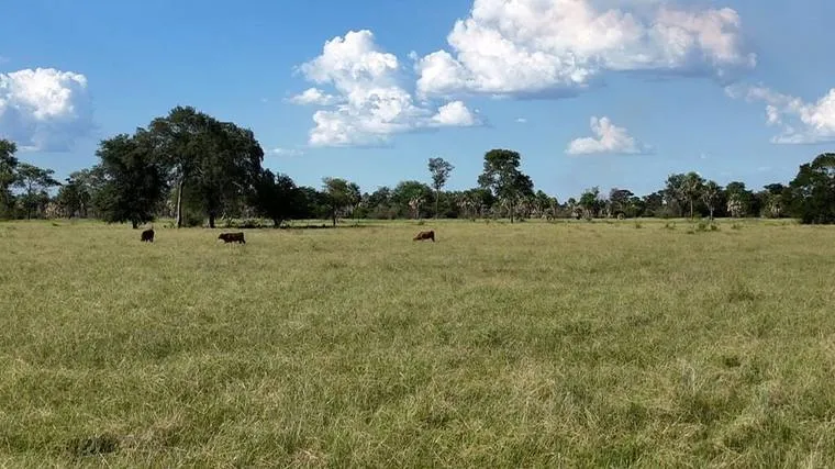 La Clorinda